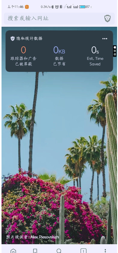 brave浏览器中文版3