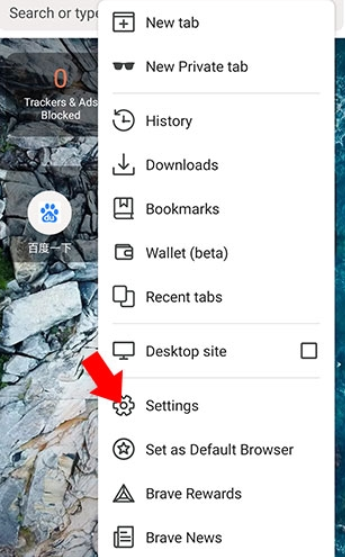 brave浏览器中文版
