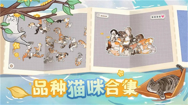 挤在一起的猫猫手游3