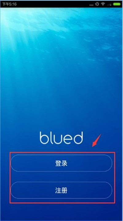 布鲁帝交友软件2025