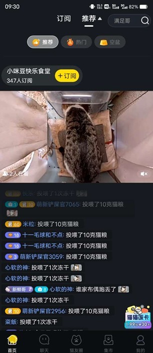 哈啰街猫软件