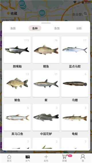 渔获潮汐天气预报手机版