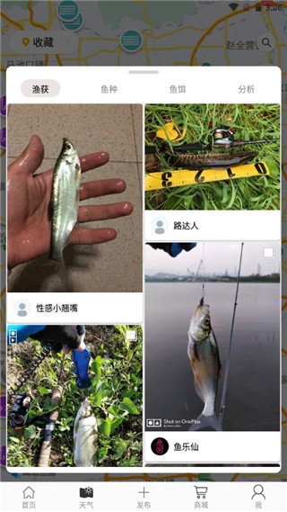 渔获潮汐天气预报手机版