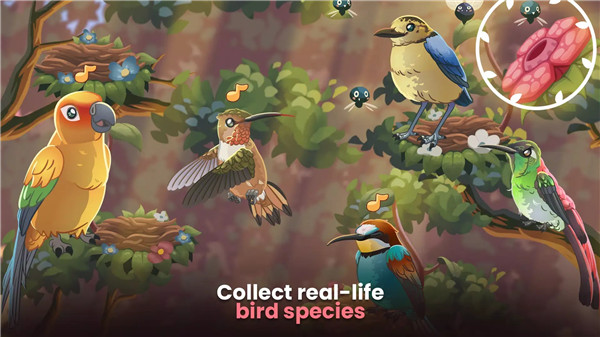 鸟类世界游戏玩法介绍大全