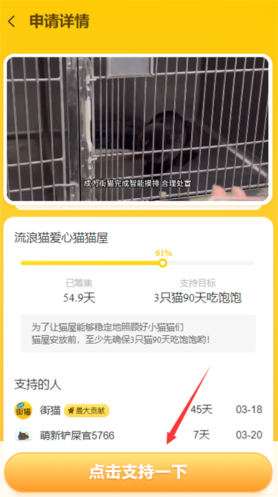 哈啰街猫