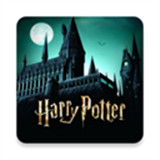 哈利波特霍格沃茨之谜手游