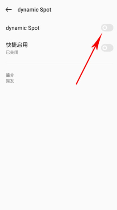 dynamicsport灵动岛