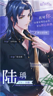 猫之宿约者安卓