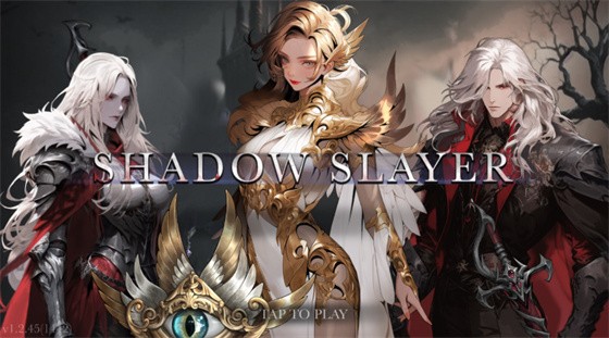 暗影杀手忍者战士