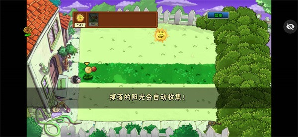 植物大战僵尸ikun版2