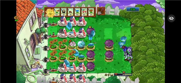 植物大战僵尸ikun版5