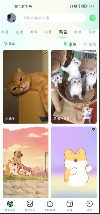 飞火动态壁纸手机版