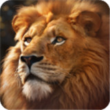 野兽领主新世界手游