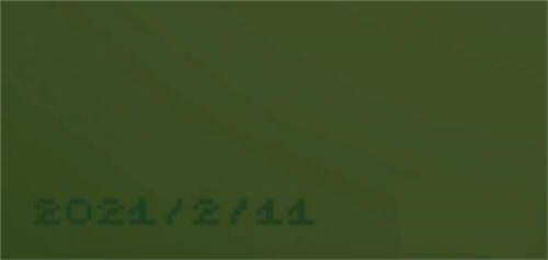 电子女孩中文版