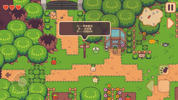 大头菜菜历险记