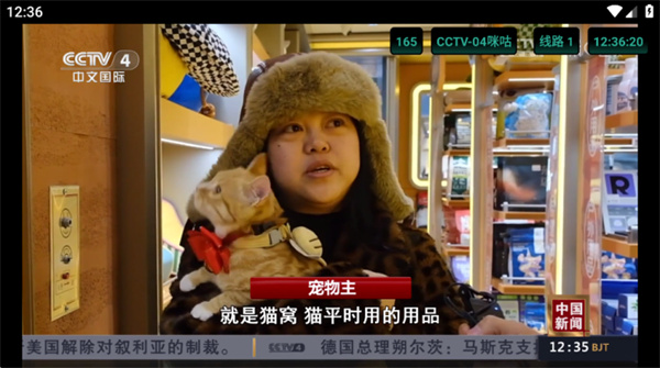 猫tv