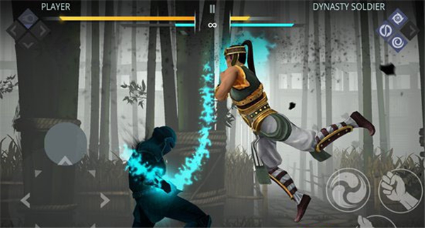 暗影格斗3中文版