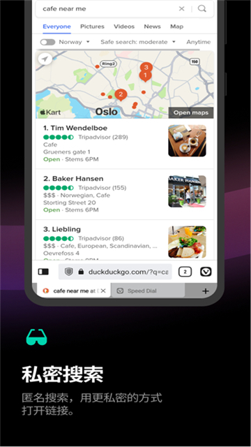 Vivaldi浏览器手机版4