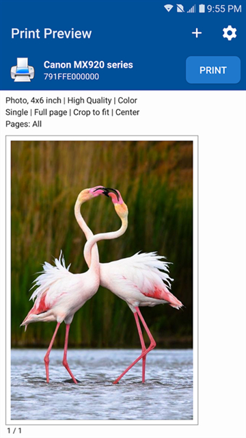 nokoprint手机打印5