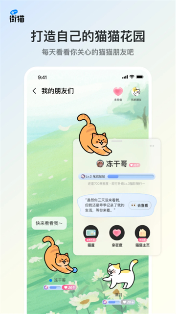 哈啰街猫app安卓版5