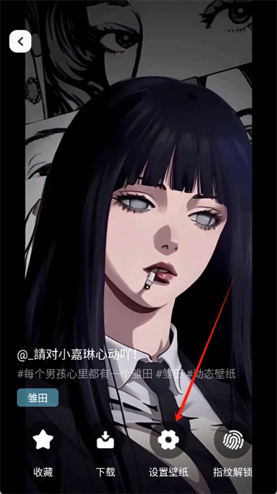 风糖小组件app