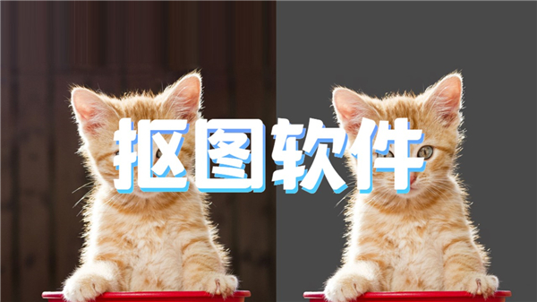 抠图软件