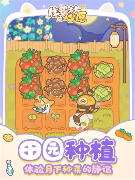 住客大人的心愿最新版2