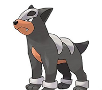 口袋觉醒安卓版