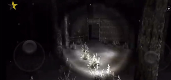 恐怖森林2中文版