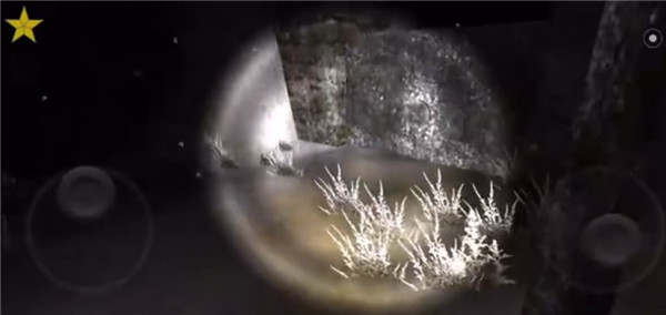 恐怖森林2中文版