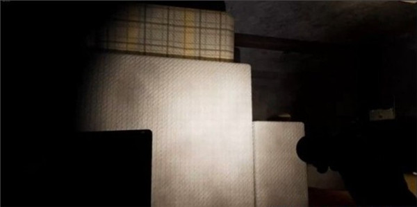 悬案2刹那惊颤幸存