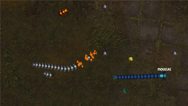 贪吃瑞拉手机版3