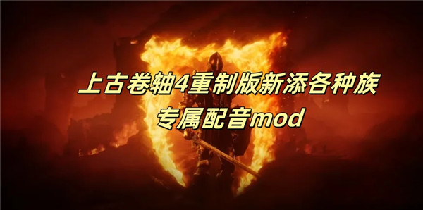 上古卷轴4重制版新添各种族专属配音mod