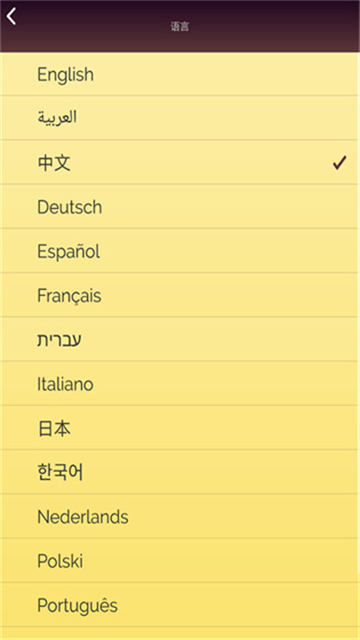 网络天才中文版5