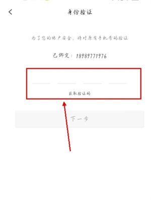 小白菇