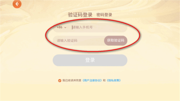 少年纵横