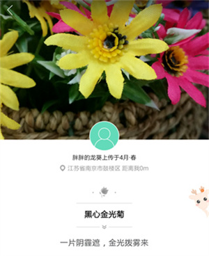 形色