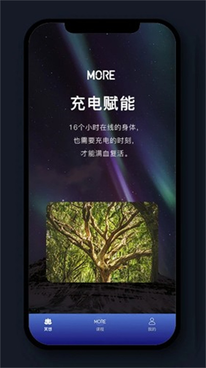 墨尔冥想2