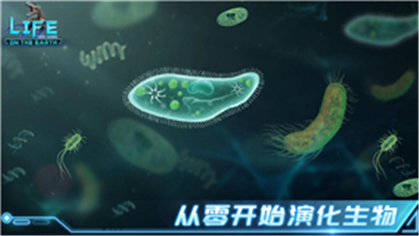 生命简史1