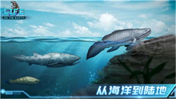生命简史3
