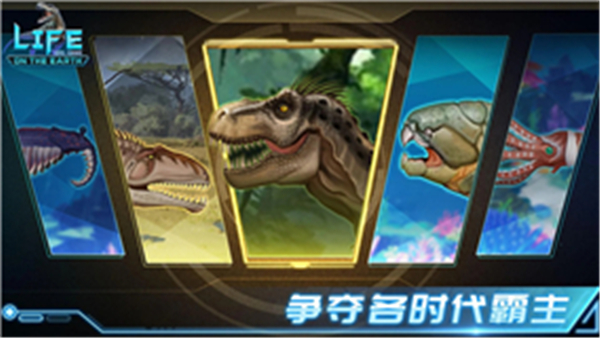 生命简史4
