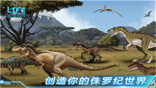 生命简史5