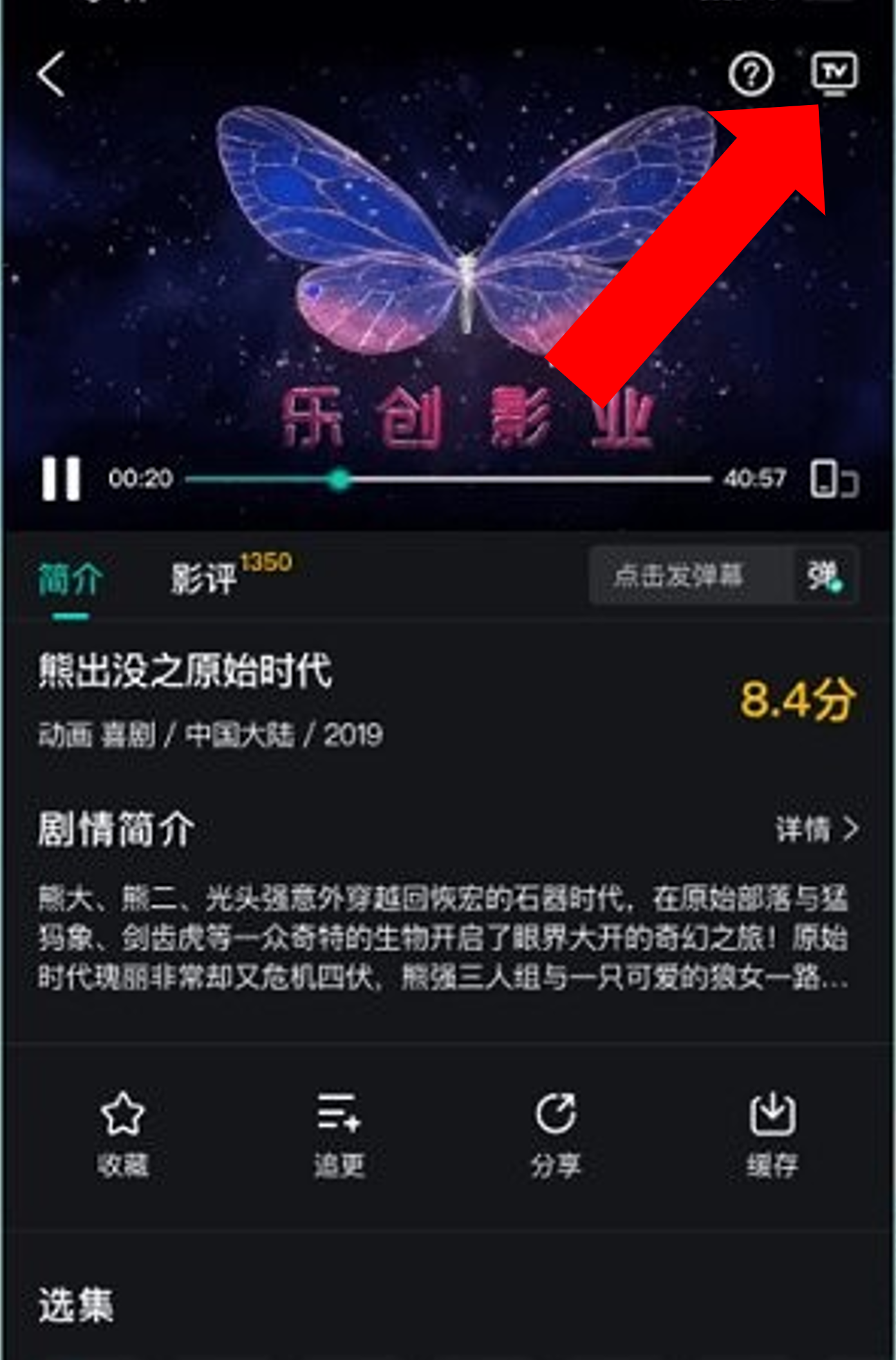 海鸥影评