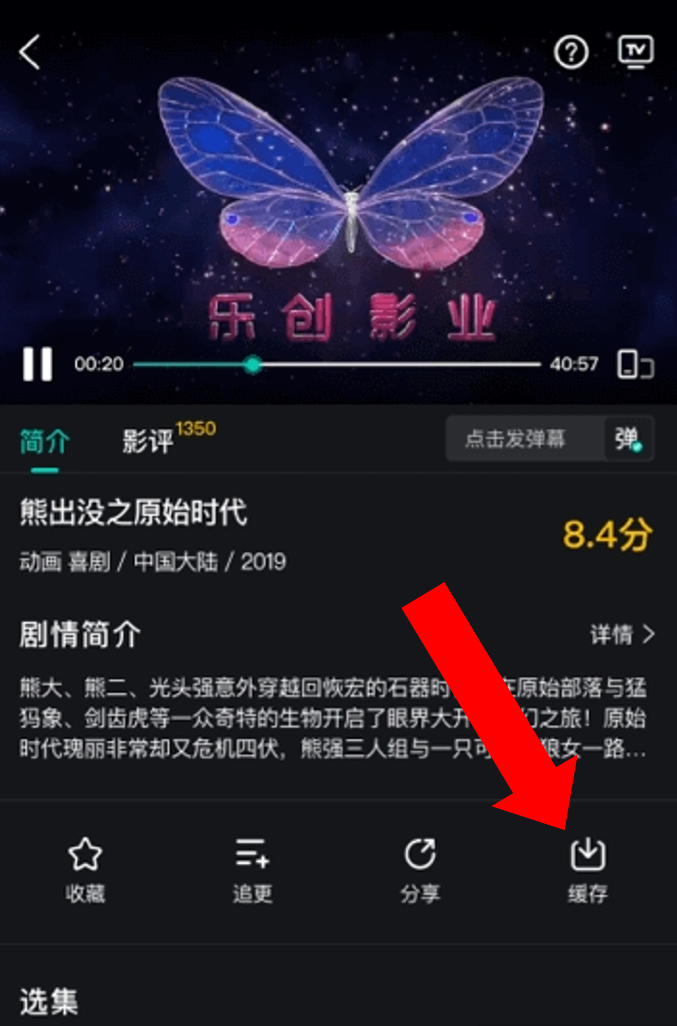 海鸥影评大全免费追剧大全