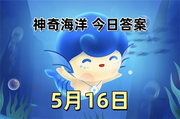 支付宝2025年5月16日神奇海洋答案