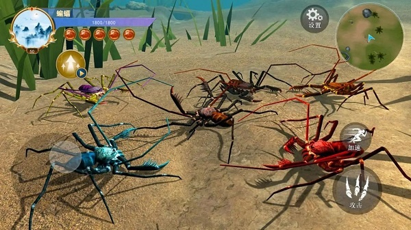 蜘蛛模拟生存1