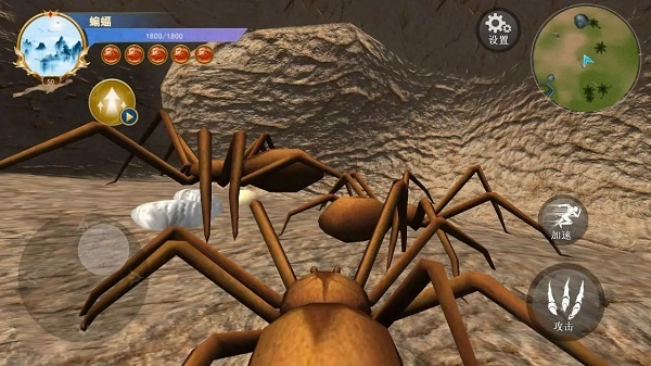蜘蛛模拟生存5