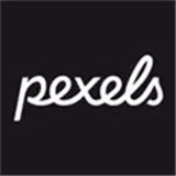 pexels视频素材安卓版