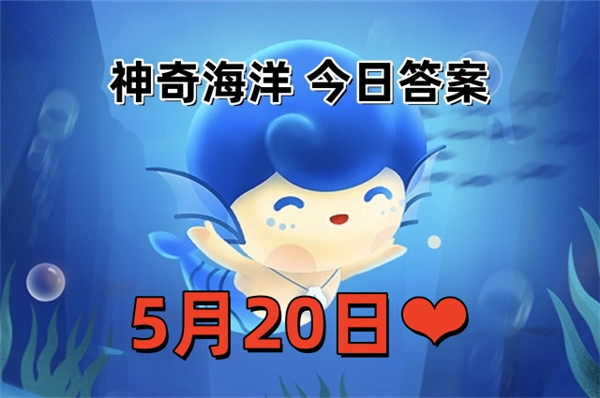 支付宝2025年5月20日神奇海洋答案