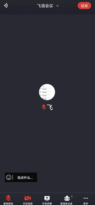 飞语会议